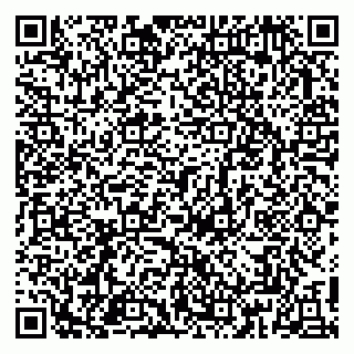 vCard 79813004209