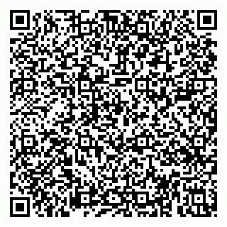 vCard 79813004231