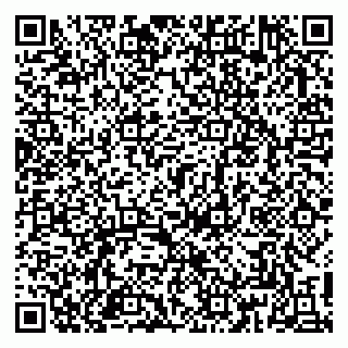 vCard 79813004403