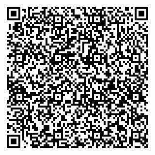 vCard 79813004821