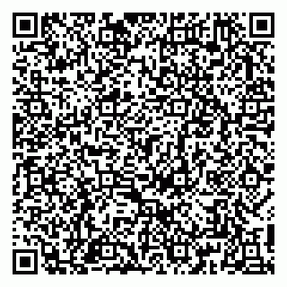 vCard 79813004882