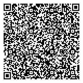 vCard 79813004963