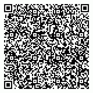 vCard 79813005017