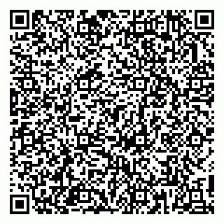vCard 79813005131