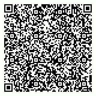 vCard 79813005153