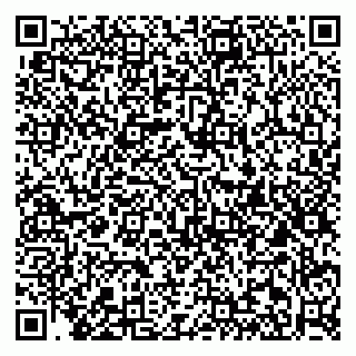vCard 79813005163