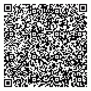 vCard 79813005203