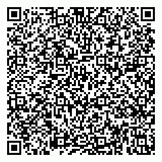 vCard 79813005233