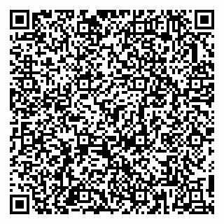 vCard 79813005235