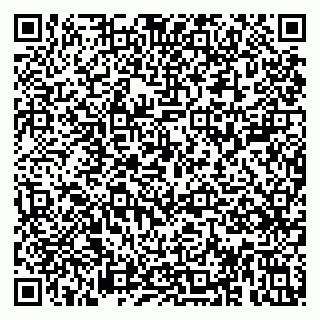 vCard 79813005272