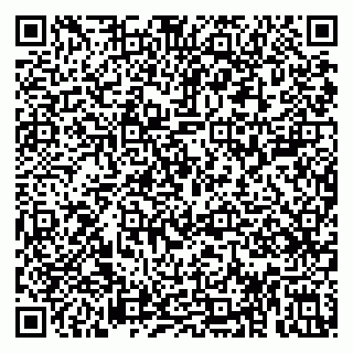 vCard 79813005291