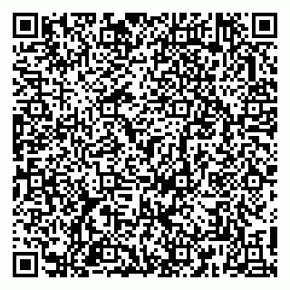 vCard 79813005293