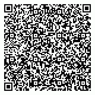 vCard 79813005297