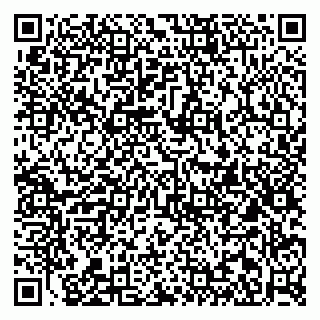 vCard 79813005333