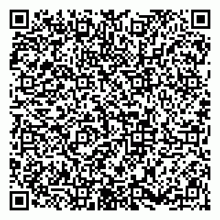 vCard 79813005334