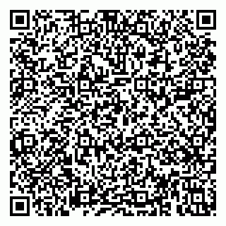 vCard 79813005373