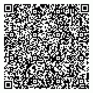 vCard 79813005379
