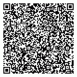vCard 79813005387
