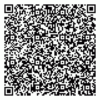 vCard 79813005394