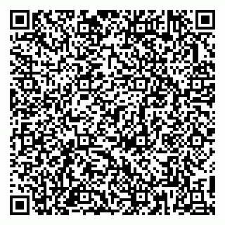 vCard 79813005533
