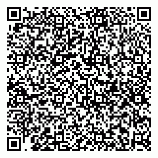 vCard 79813006019