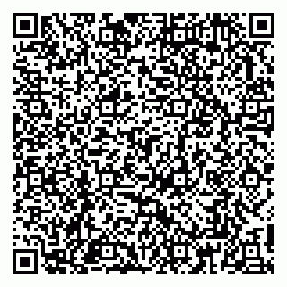 vCard 79813006029