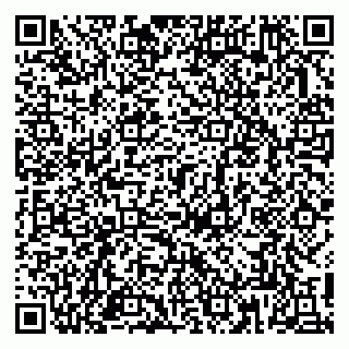 vCard 79813006032