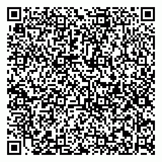 vCard 79813006065