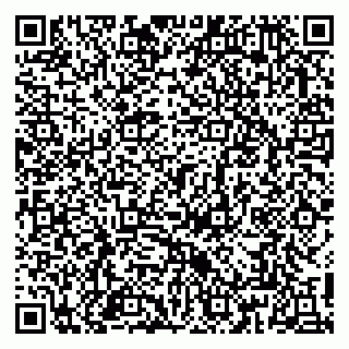 vCard 79813006100