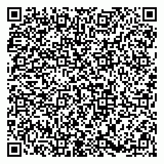 vCard 79813006221