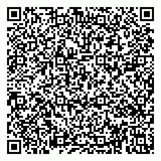 vCard 79813006303