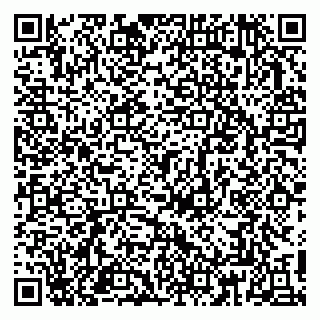 vCard 79813006321