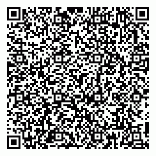 vCard 79813006377