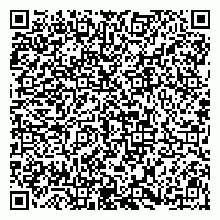 vCard 79813006382