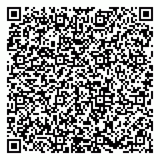 vCard 79813007233