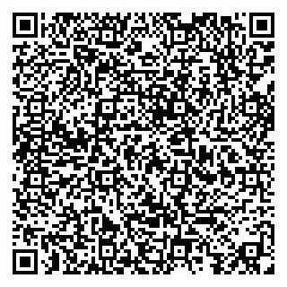 vCard 79813007377