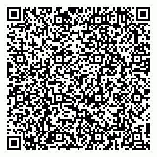 vCard 79813007401