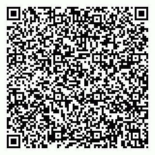 vCard 79813007403