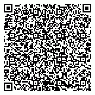 vCard 79813007421