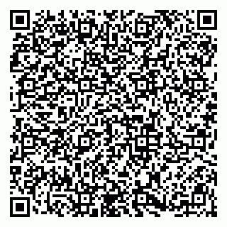 vCard 79813007488
