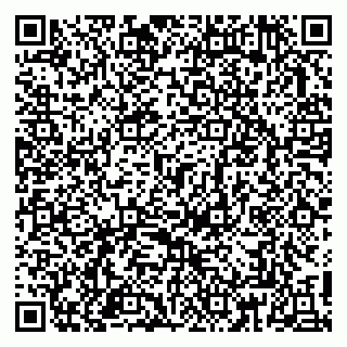 vCard 79813007721