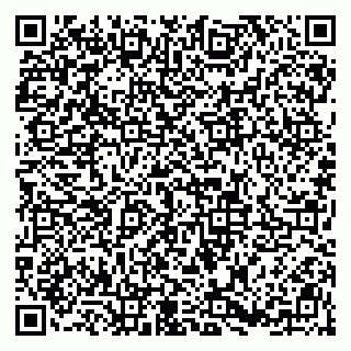 vCard 79813007729