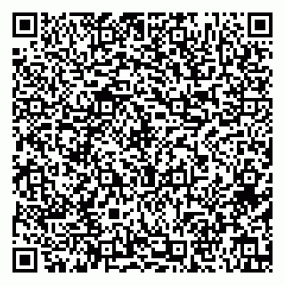 vCard 79813007738