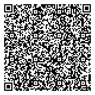 vCard 79813007751