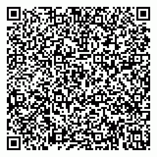 vCard 79813008111