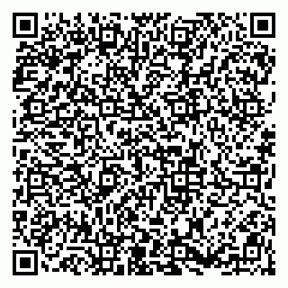 vCard 79813008131