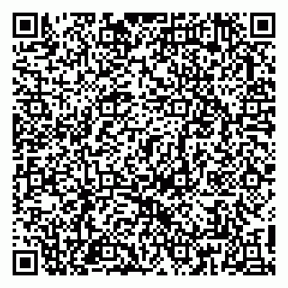 vCard 79813008501