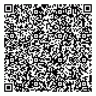 vCard 79813009221