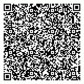 vCard 79813009235