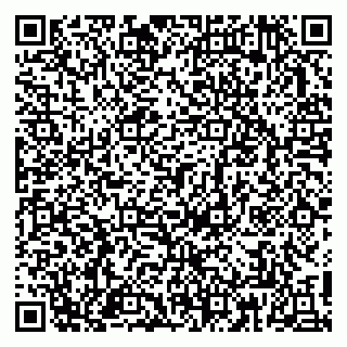 vCard 79813009271